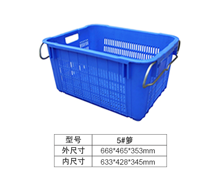 5#ᣨ¥24