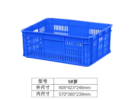 9#תᣨ¥15.6