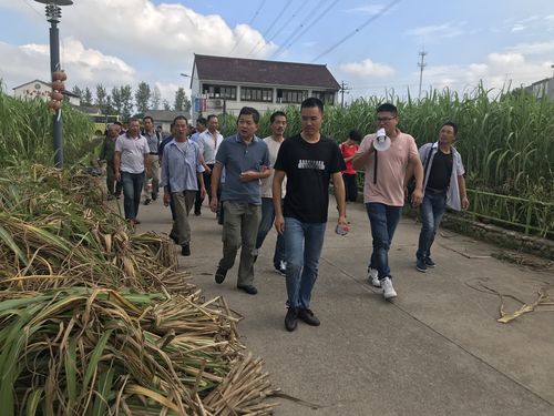 兰溪市农业农村局举办甘蔗种植技术培训班
